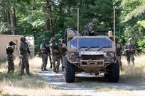 Operation Viking