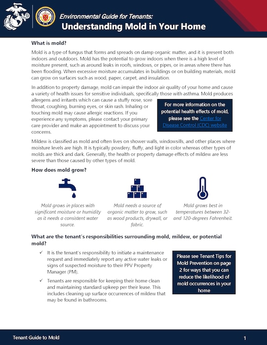 Document with text and navy blue icons demonstrating mold in the home.