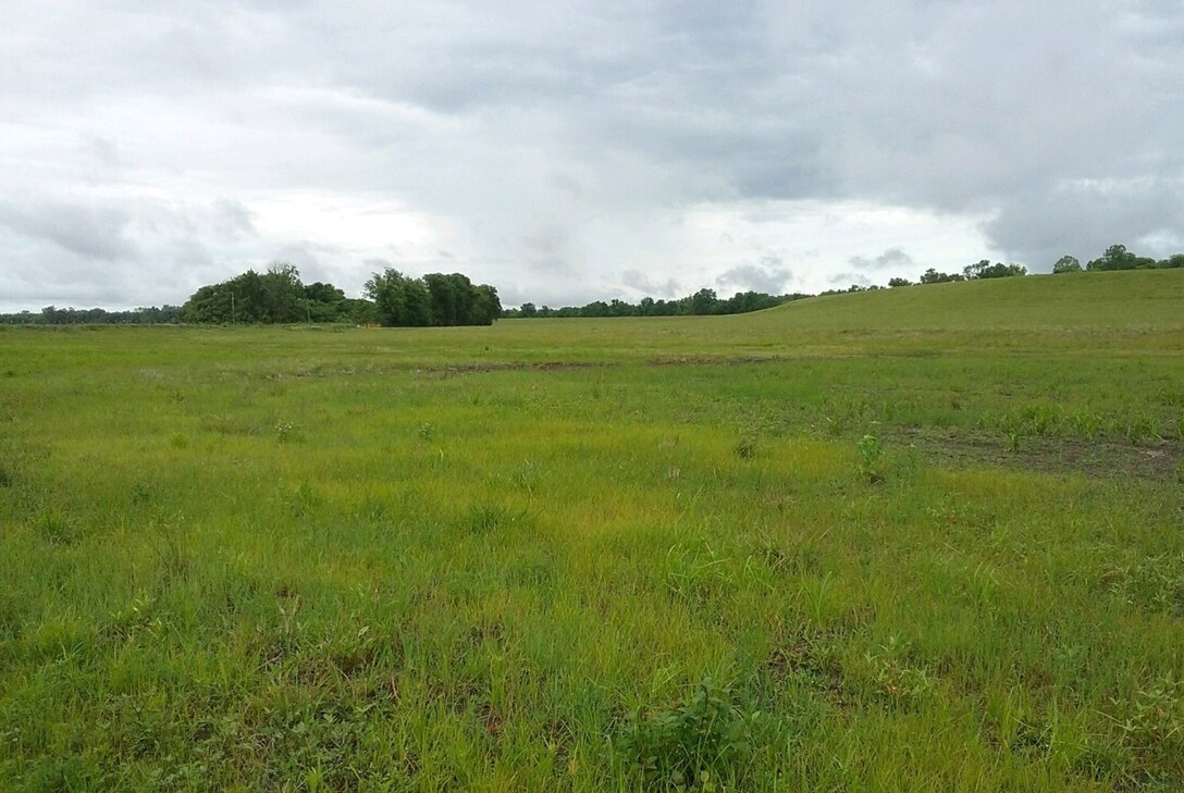 Pictured is the project area, specifically four miles of the Yazoo-Delta Levee System 21 – Segment 26. The $1.8 million job will construct three earthen berms to reduce seepage under the levee when river levels are high. (USACE Courtesy Photo)