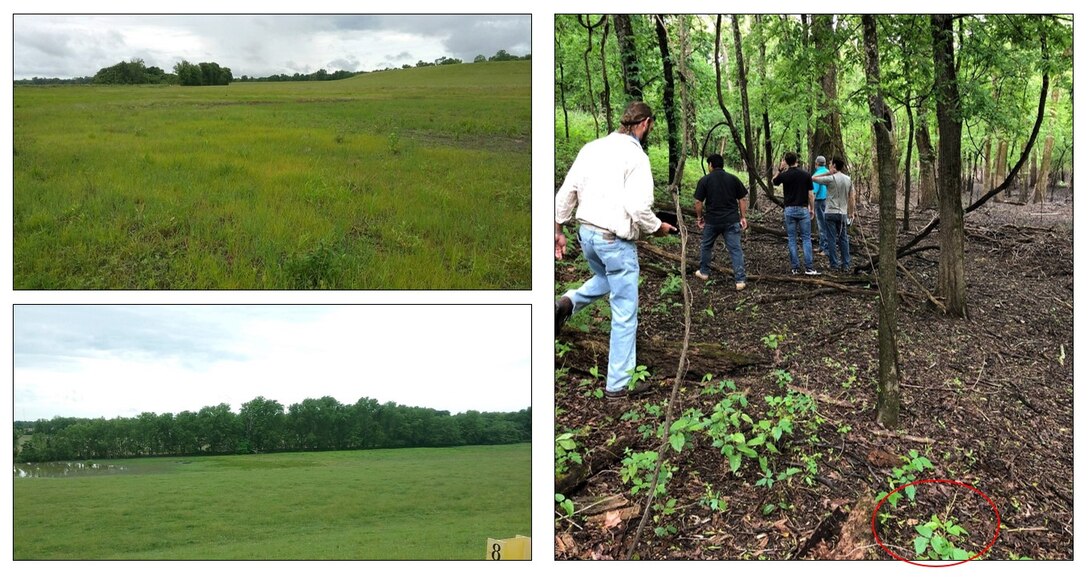 IN THE PHOTO (to the right),Biologist Josh Koontz, Cost Engineer Max Gomez-Pedro, Design Engineer Chase Kesner, and Geotechnical Engineer Ben Tatum visit a potential borrow site with Bill Sheppard of Yazoo Mississippi Delta Board.  (This was not the final borrow site.) Circled in red is poison ivy.  The other two photos (to the left) are of the project area, specifically four miles of the Yazoo-Delta Levee System 21 – Segment 26. The $1.8 million job will construct three earthen berms to reduce seepage under the levee when river levels are high. (USACE Courtesy Photos)