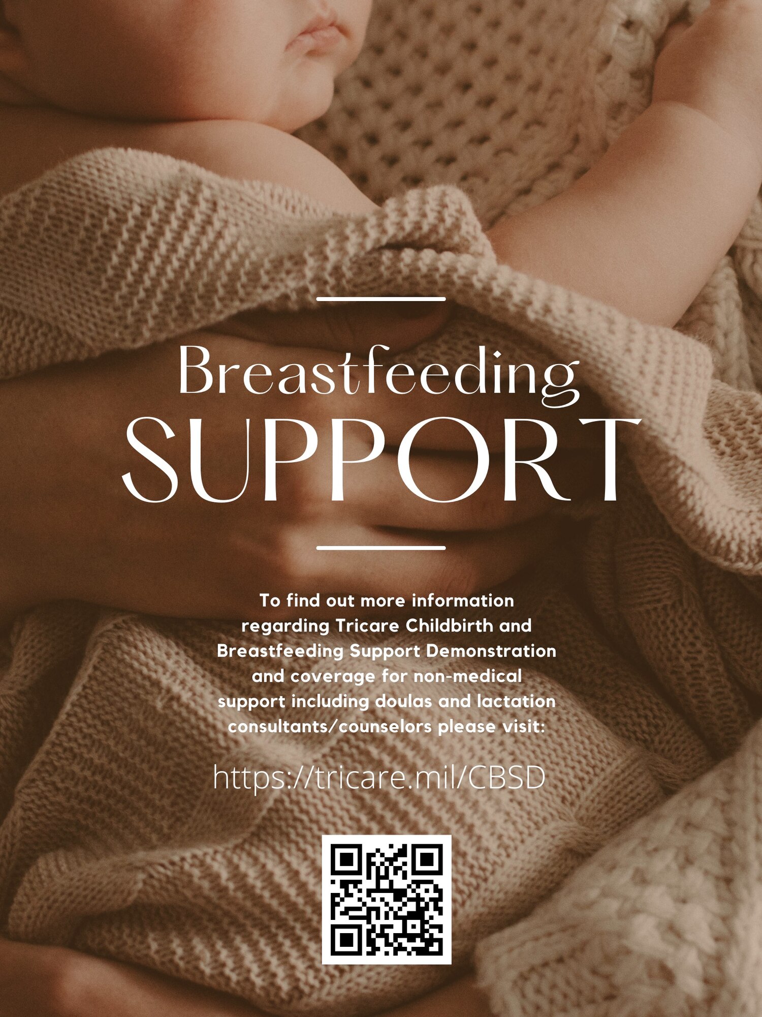 A graphic about breastfeeding support for Breastfeeding Month.