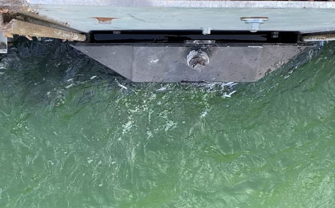 Top down view of the novel fish passage structure as it sits housed in the water along the seawall at Broderick Park in Buffalo, New York