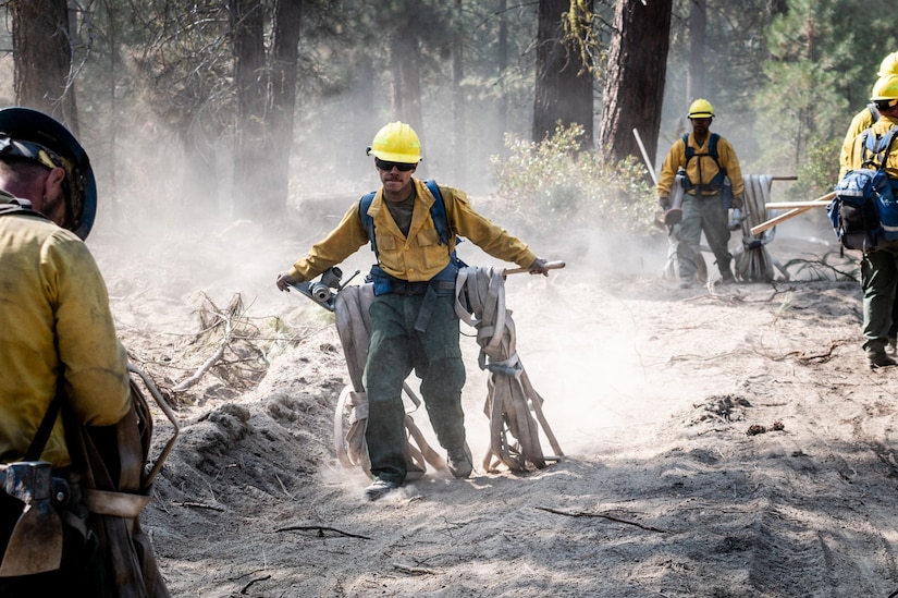 Firemen hold a shovel with both hands horizontally behind their backs to carry hoses through a forest.