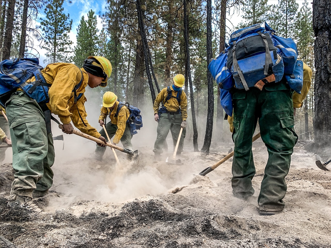 Four firemen dig in a powdery ground and kick up dust in a forest.