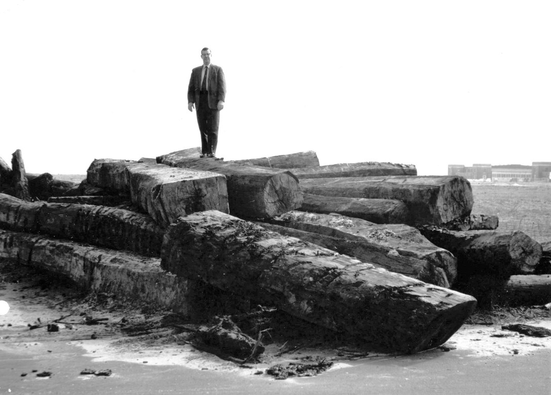 Un-identified NAS staff member atop the pile of mid-nineteenth century live oak timbers discovered in 1969 
and re-buried in 1971 for future restoration work on USS Constitution.