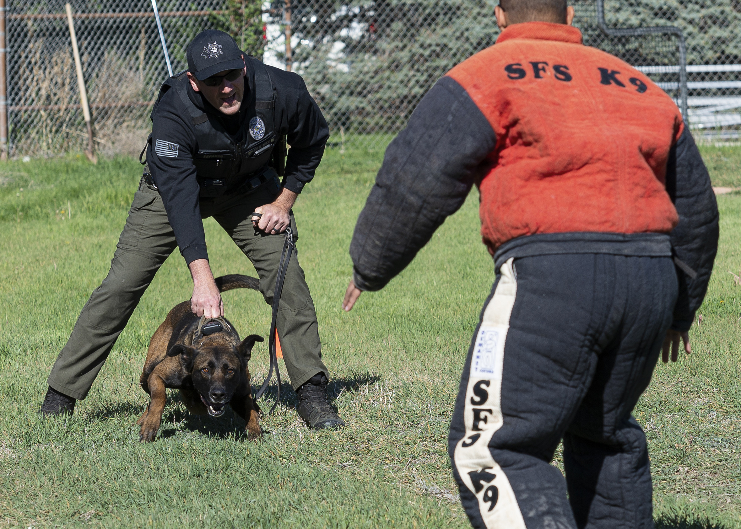 Meridian k9 sale