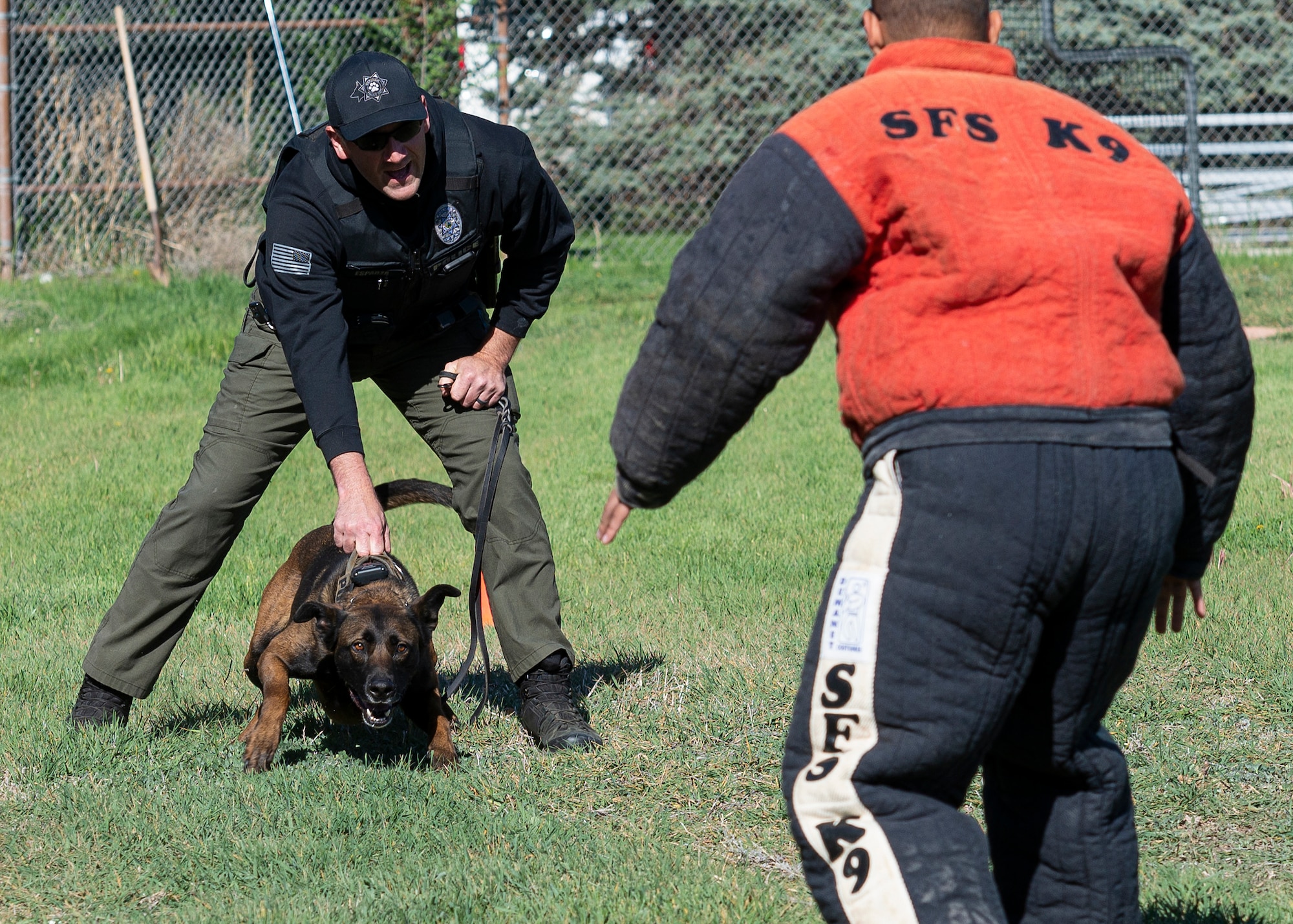 Brandon Esparza, Meridian Police Department officer, secures his K-9, KB, as he prepares to release it to deter the decoy in the bitesuit.