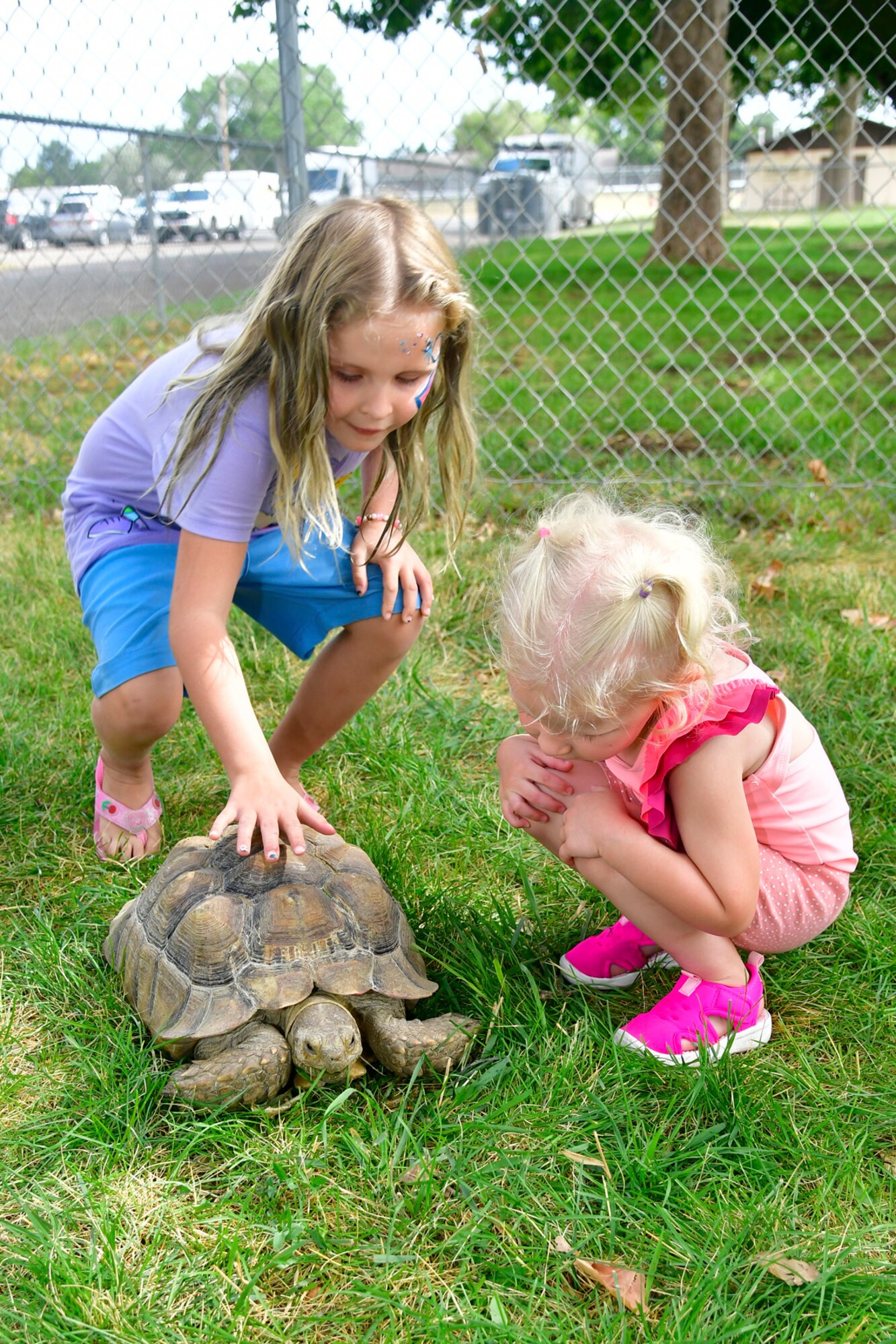 Children encounter a turtle in the exotic animal petting zoo during Military Salute Picnic held at Centennial Park Aug. 5, 2022, at Hill Air Force Base, Utah. The annual event is sponsored by the Top of Utah Military Affairs Committee and provided fun activities, free food and live entertainment for the base’s military and their families. (U.S. Air Force photo by Todd Cromar)