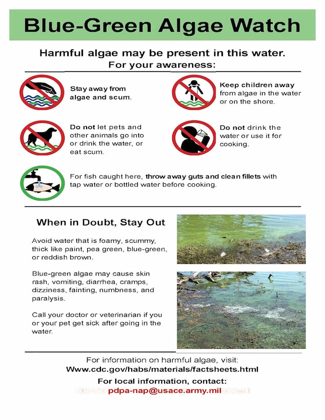 Poster that outlines guidelines for blue-green algae at lakes