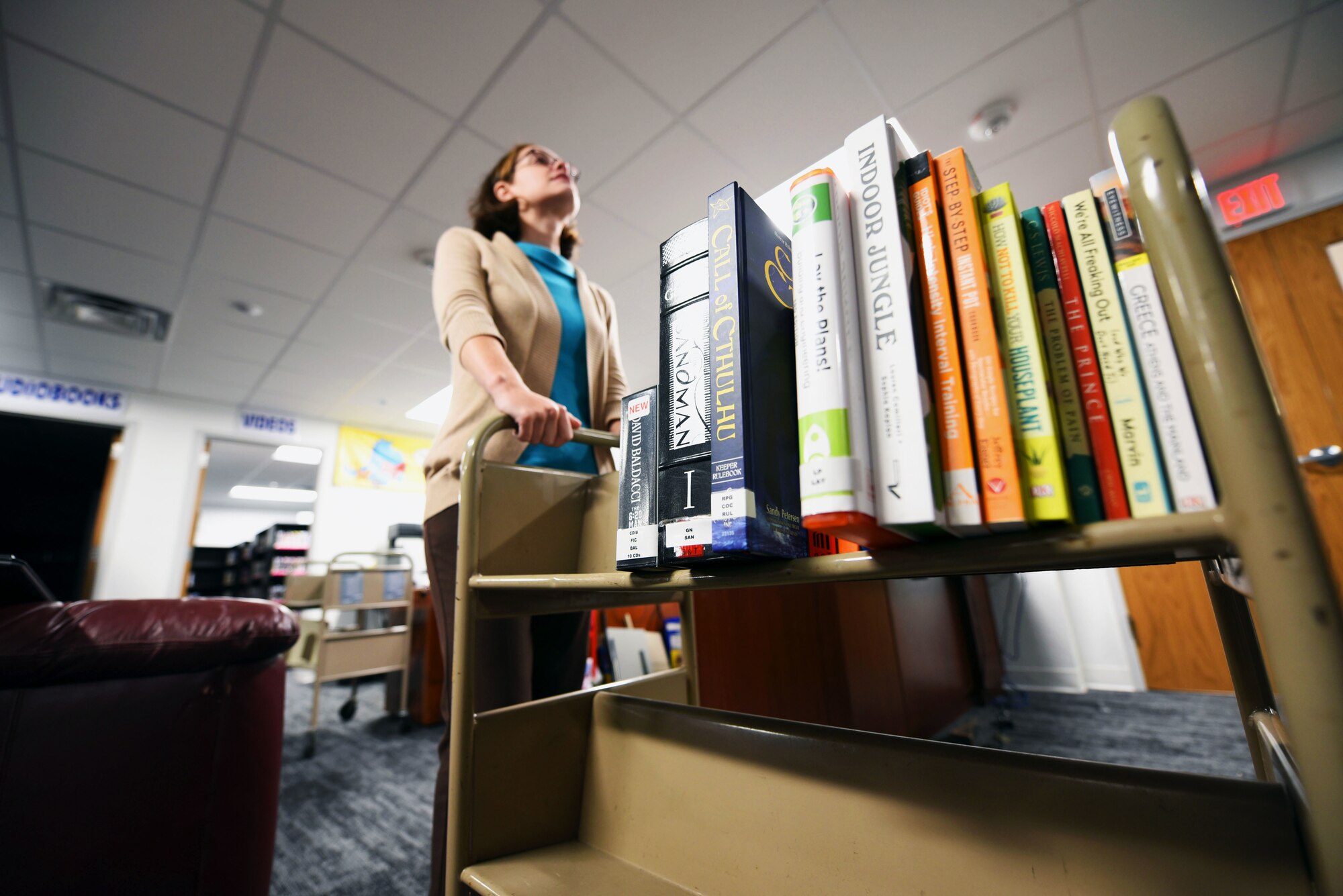 Librarian puts books away