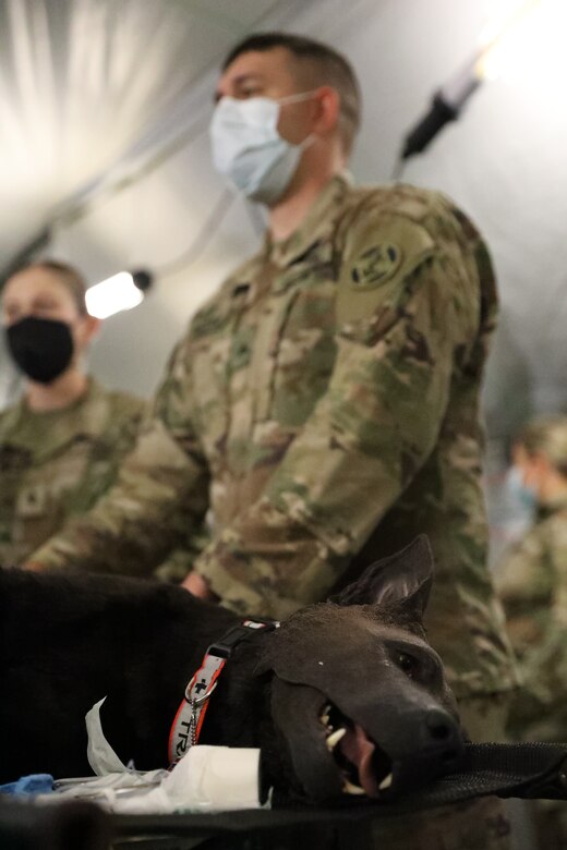 422nd Medical Detachment of Veterinary Services