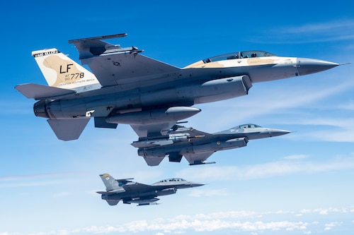 Falcons in flight