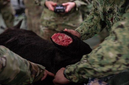 Robot Dog Prepares Medics