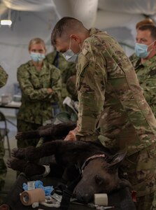 Robot Dog Prepares Medics