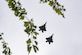 F-22s perform a flyover