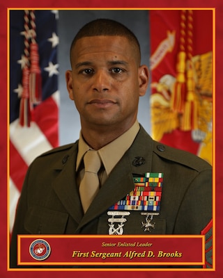 Inspector-Instructor Senior Enlisted Leader, Intelligence Support Battalion
