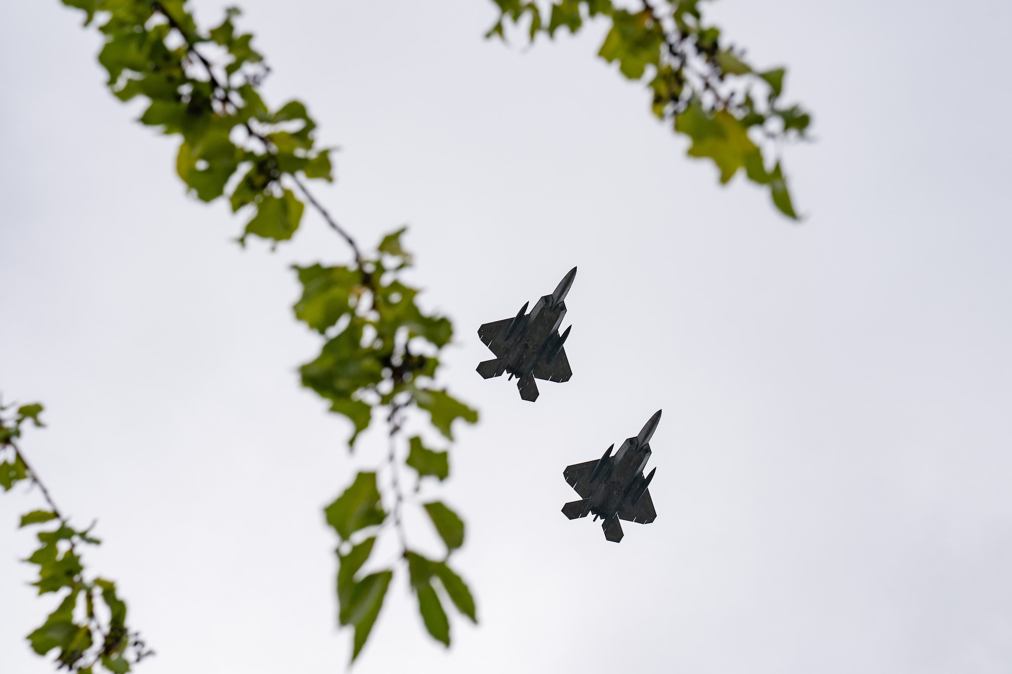 F-22s perform a flyover