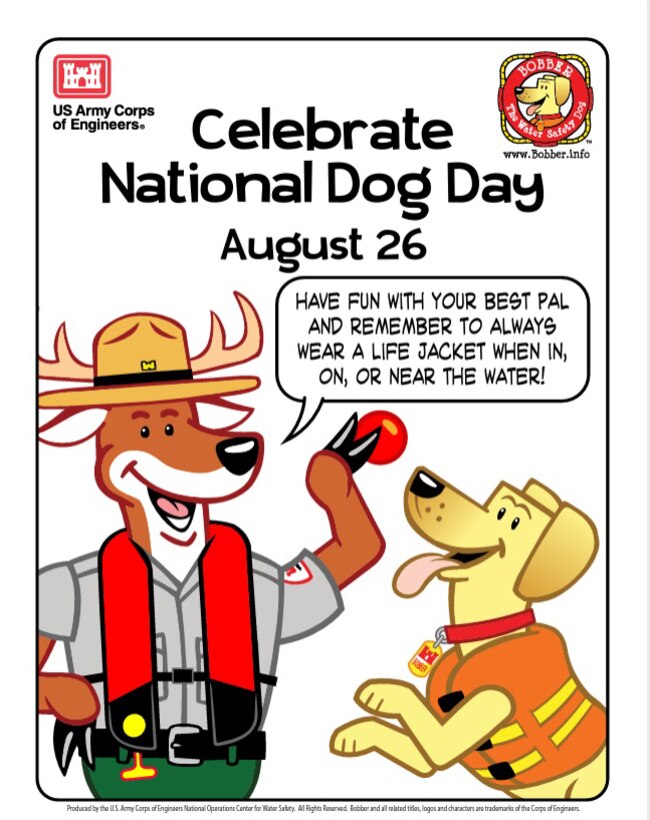 Download your FREE Bobber coloring sheet today! Just in time for National Dog Day, it's only available for a limited time at www.bobber.info