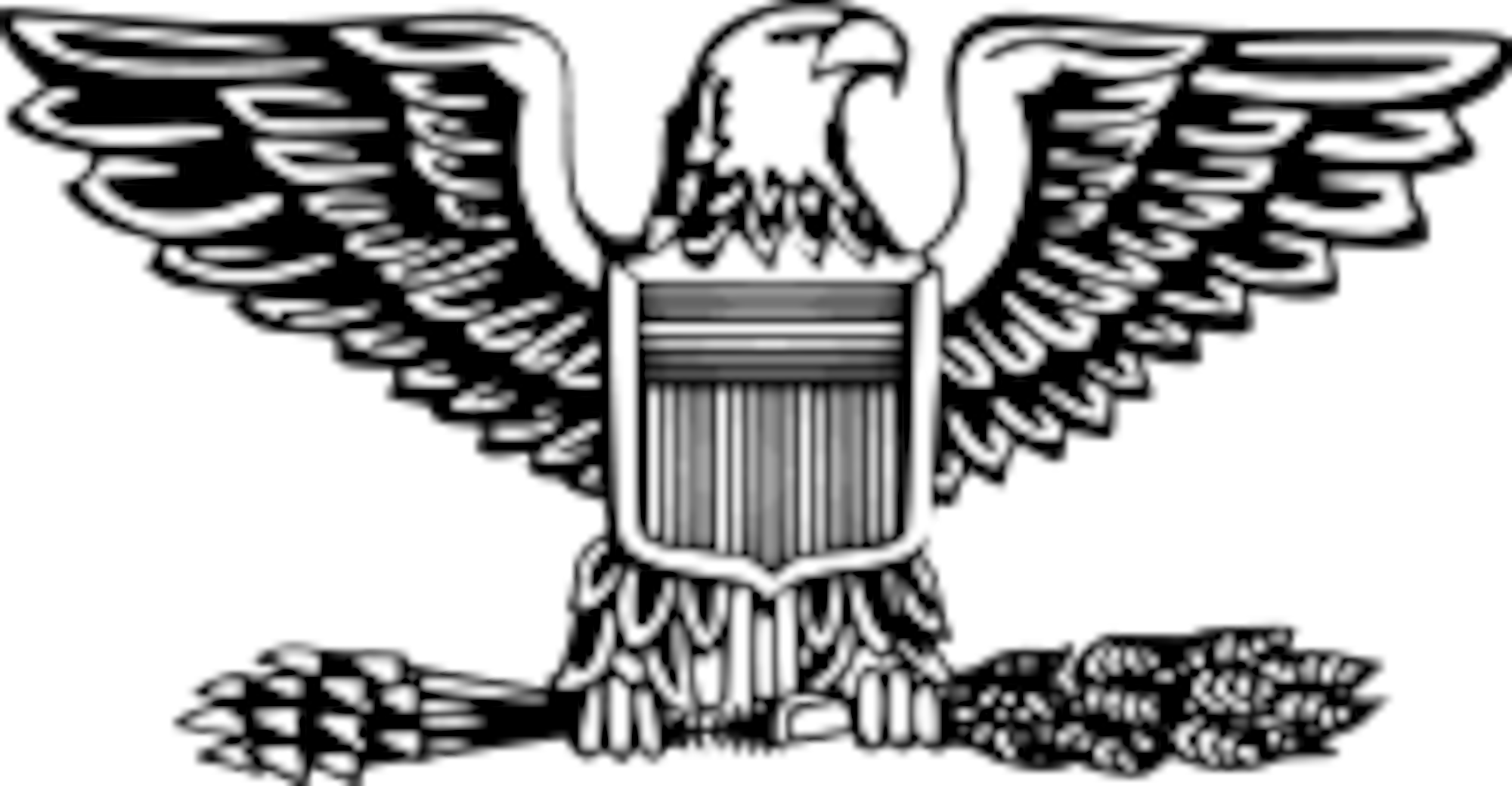 USAF Colonel symbol