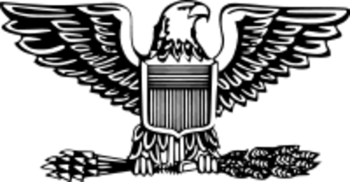 USAF Colonel symbol