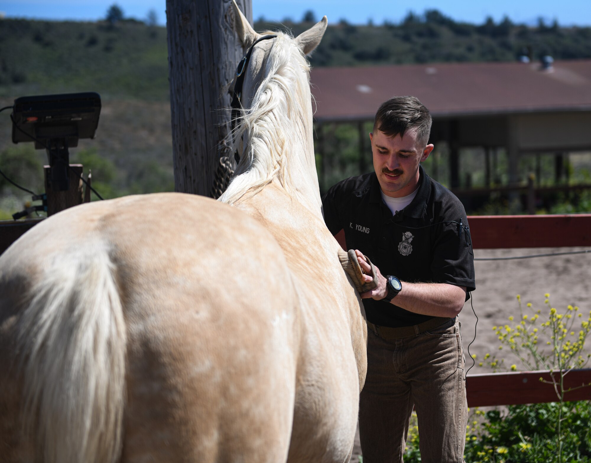 Staff Sgt. Kyle Young, 30th Security Forces Squadron conservation patrolman, brushes military working horse Patton’s coat outside the stables on Vandenberg Space Force Base, Calif., May 9, 2022. The military working horse program will be retired on Vandenberg July 28, 2022. (U.S. Space Force Photo by Airman 1st Class Ryan Quijas)