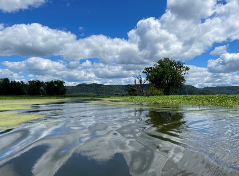 A body of water with trees in the background and clouds in the sky.