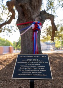 The dedication of a 100-plus-year-old oak tree stands alone after the St. Philip’s College Col. Burley Oak Tree Dedication Ceremony, held on the St. Philip’s College’s campus, August 18, 2022. The 100-plus-year-old oak tree is part of the Burley homestead of the late retired U.S. Army Col. Roy W. Burley, Sr., for many generations. The tree now resides on the college campus with a plaque to share with future generations the legacy of “The Colonel”. (U.S. Army Photo by Bethany L. Huff)