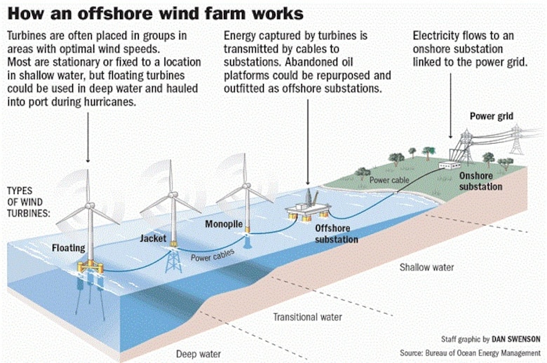 Environmental assessment of proposed areas for offshore wind farms