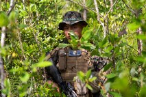 Combat Skills Program