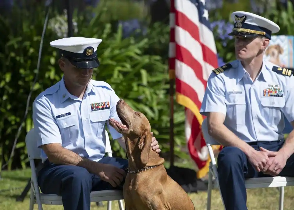 Coast Guard retired working dogs receive financial support > United