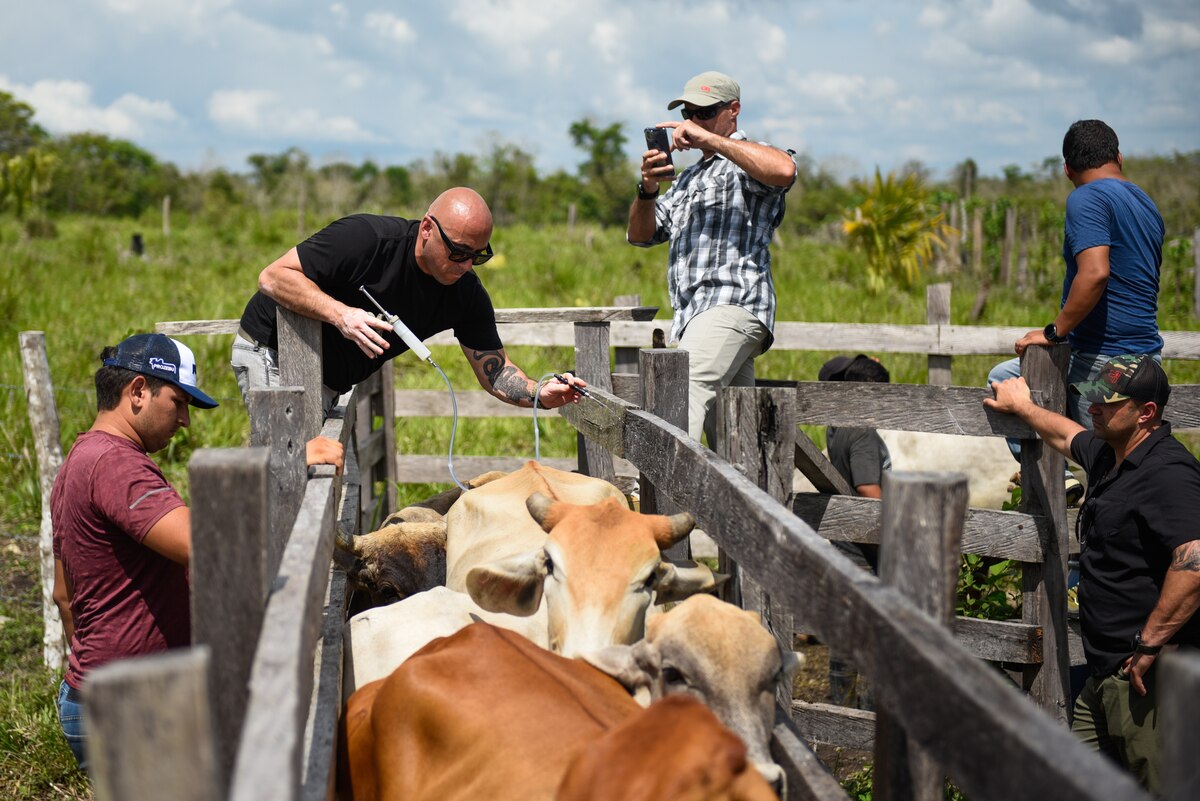 photo of U.S. Army Sgt. Louie Fierro, animal care specialist with the 109th Medical Detachment Veterinary Services, vaccinating a cow for anthrax Jun. 7, 2022, on a local farm in Las Viñas, Guatemala.