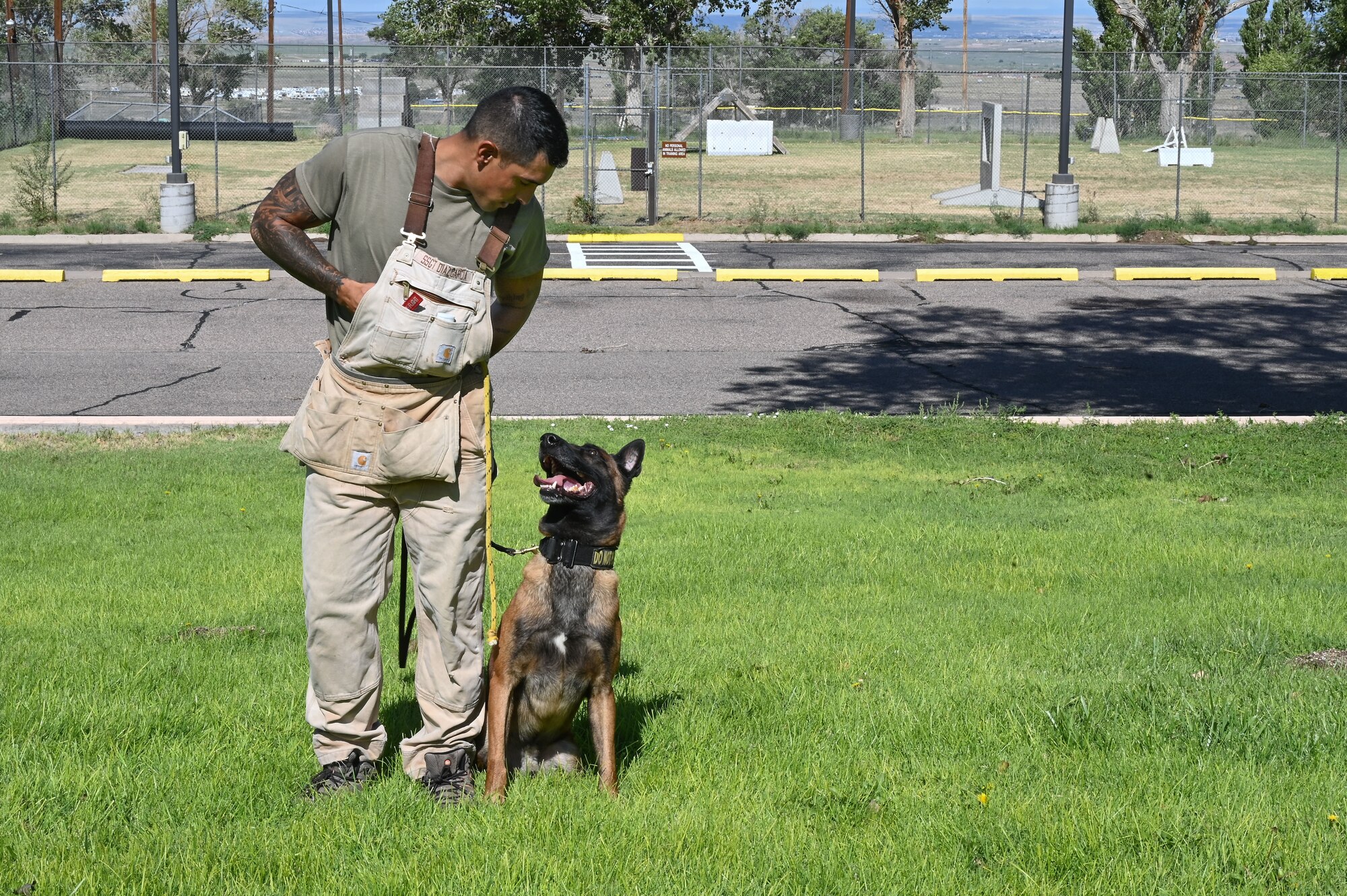 A man holds a toy for a dog.