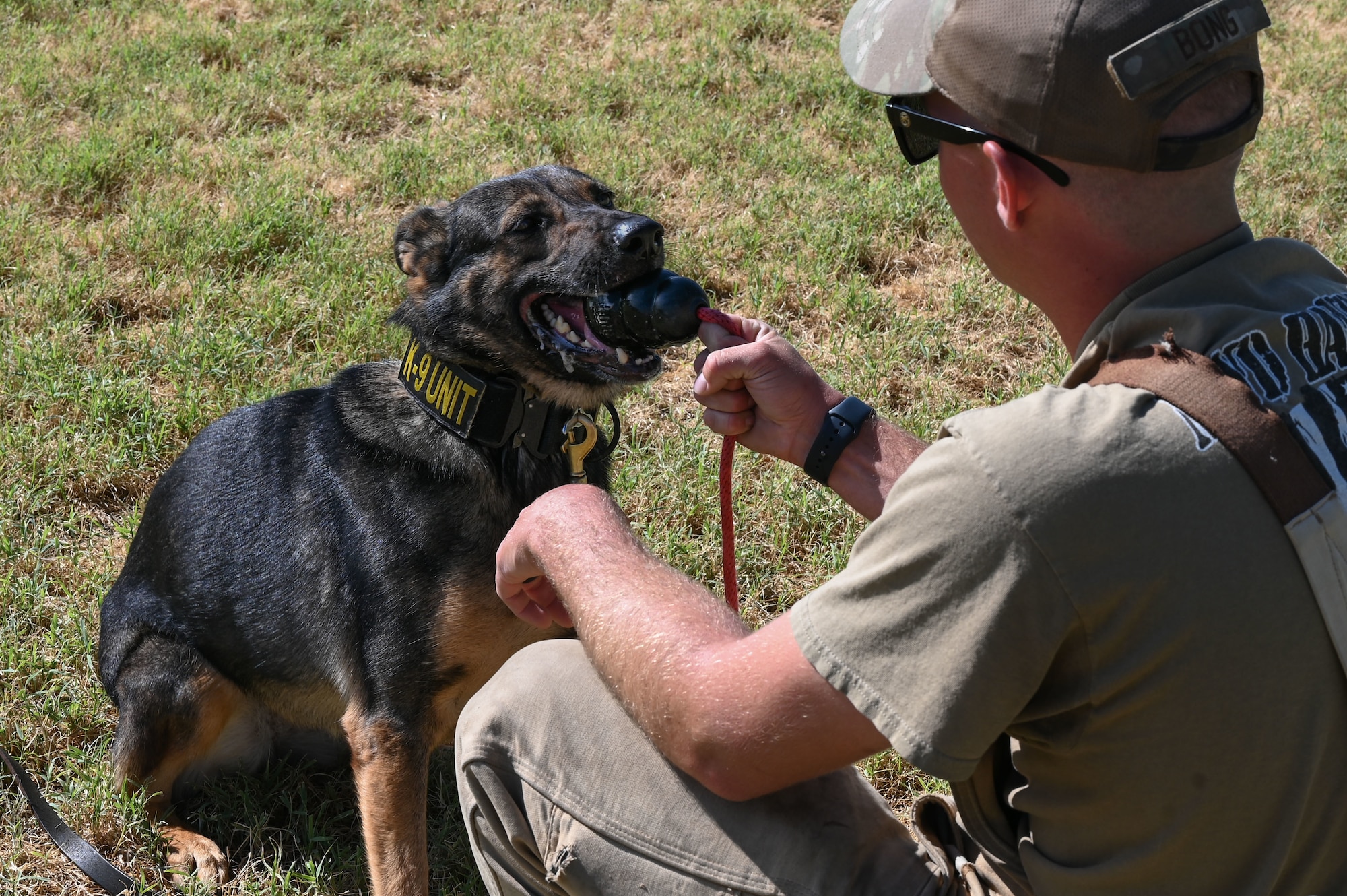 A man hold a dog toy with a dog.