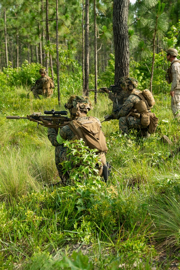 U.S. Marines with 1st Battalion, 2d Marine Regiment, 2d Marine Division, conduct a patrol during a Marine Corps Combat Readiness Evaluation on Camp Lejeune, North Carolina, June 14, 2022.