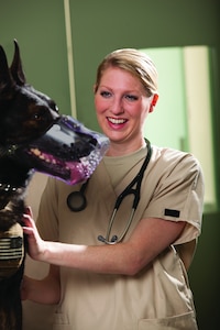 Veterinarians