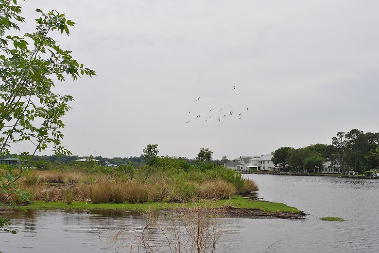 Photo of confluence of Big Fishweir Creek and Little Fishweir Creek