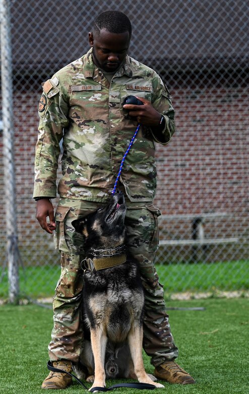 Military working dogs speed through the agility course at JBLE