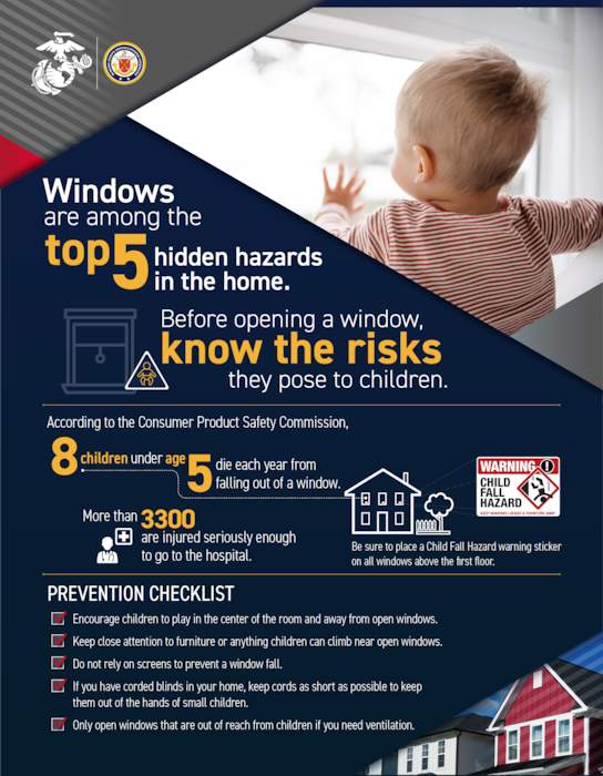 Flyer telling the dangers of windows in the home.