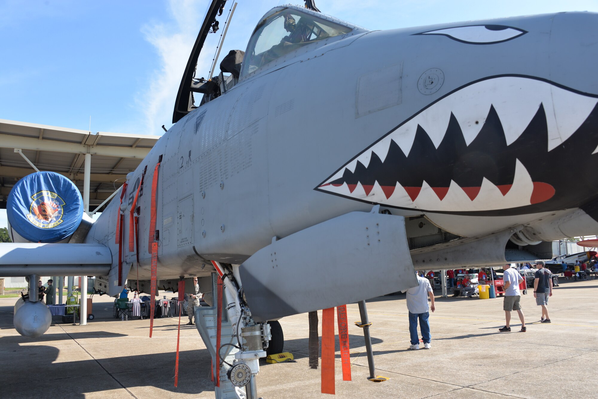 A-10 on display at the 187th Red Tails over Montgomery, Sept. 8, at Dannelly Field, Alabama. (U.S. Air Force photo by Staff Sergeant Christopher Horton)