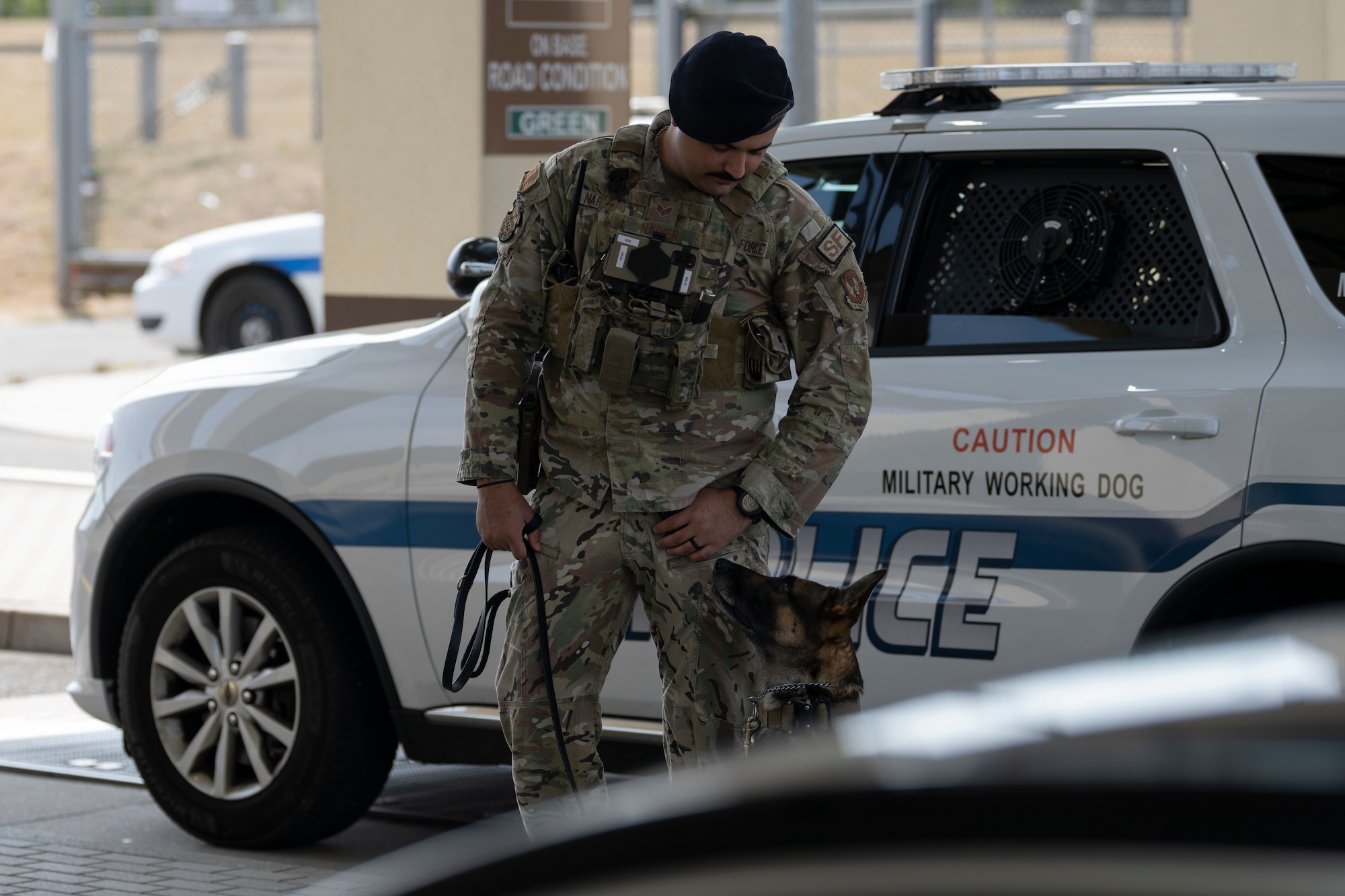 Military working dog handler and dog watch gate.