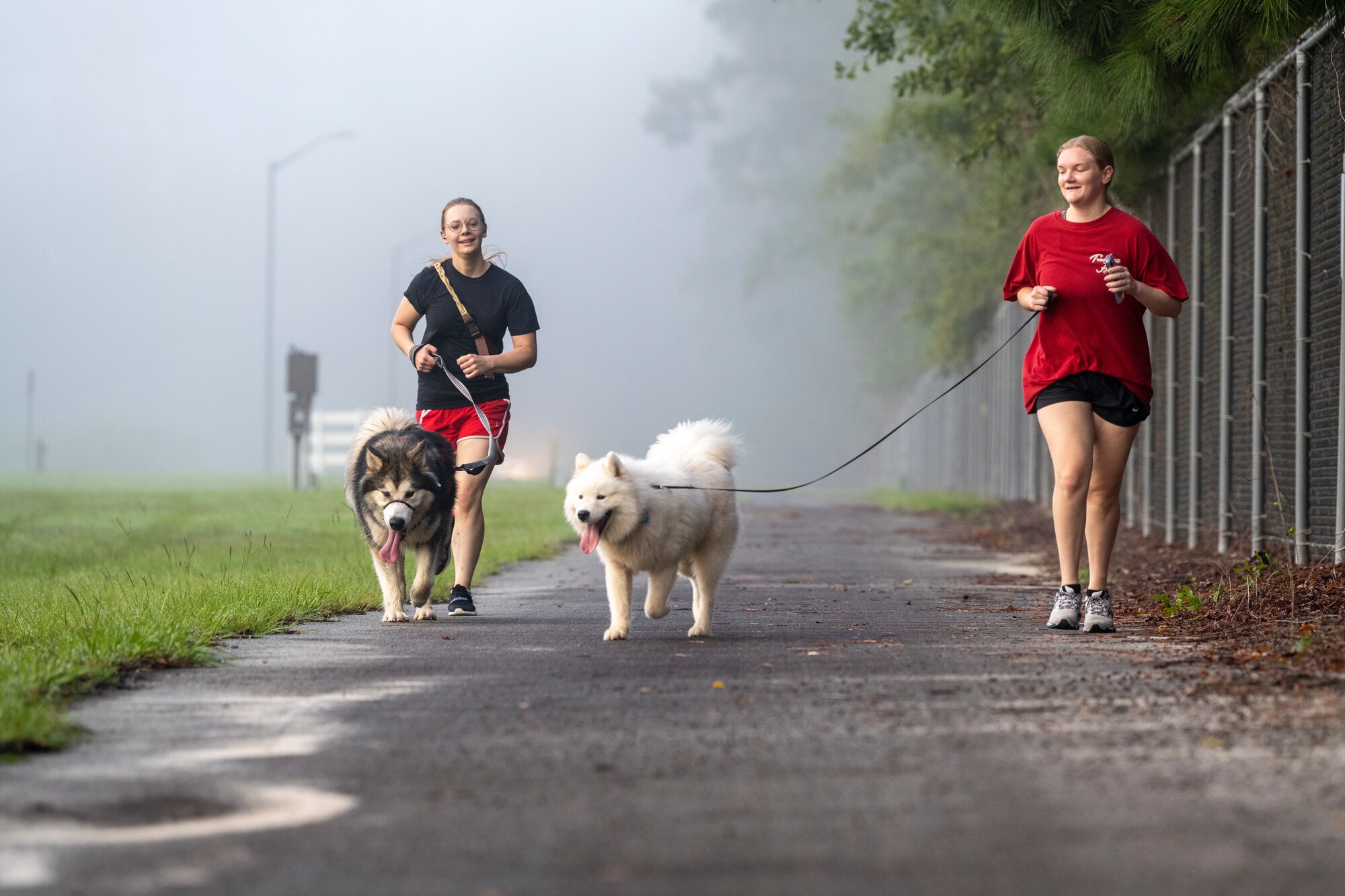 Airmen run with their dogs