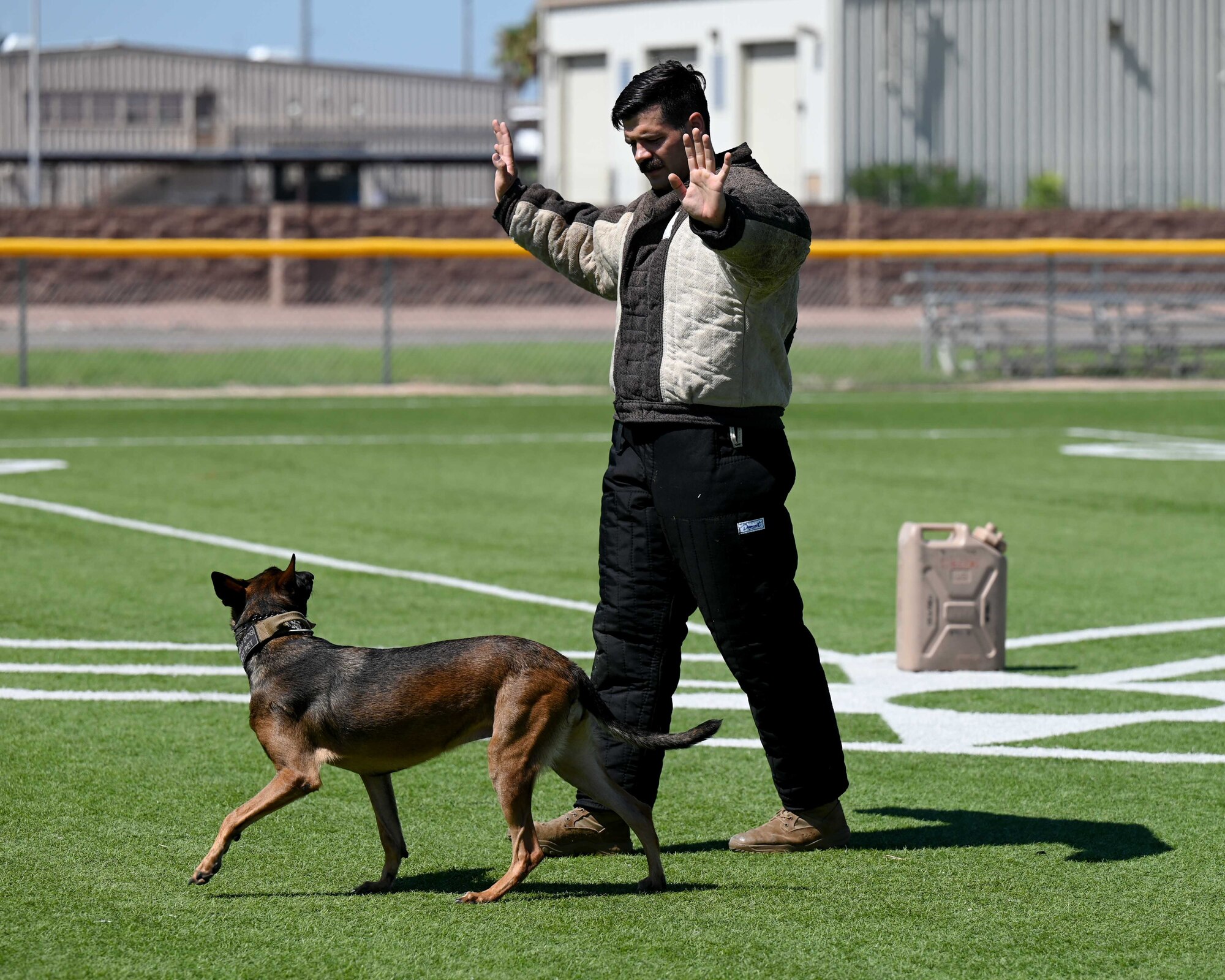 A photo of a man in a bite suit with his hand up being watched by a military working dog.