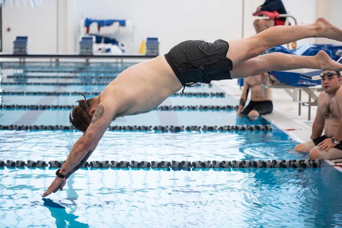 A swimmer's fingertips just touch the water as he dives into the pool.