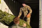 Sgt. 1st Class Brandon Moseman, a New York Army National Guard recruiter, loads a Christmas tree into a FedEx truck at the Ellms Family Farm in Ballston Spa, N.Y., Nov. 28, 2022. Moseman and other recruiters were participating in Trees for Troops, helping local tree farms donate Christmas trees to families of service members.