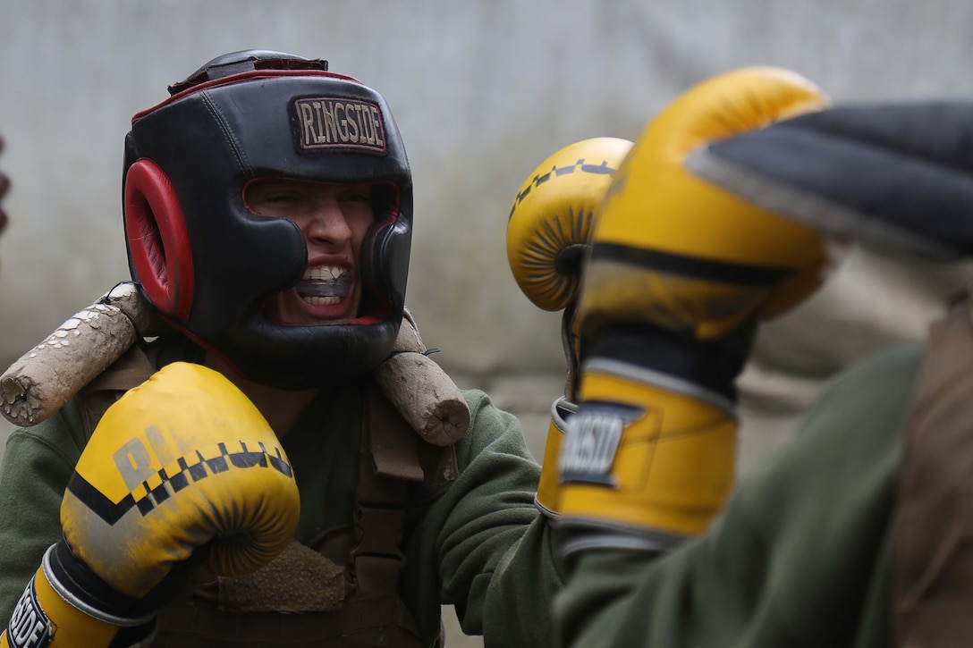 A Marine Corps recruit wearing head gear, a mouth guard and boxing gloves raises fists in a sparring match.