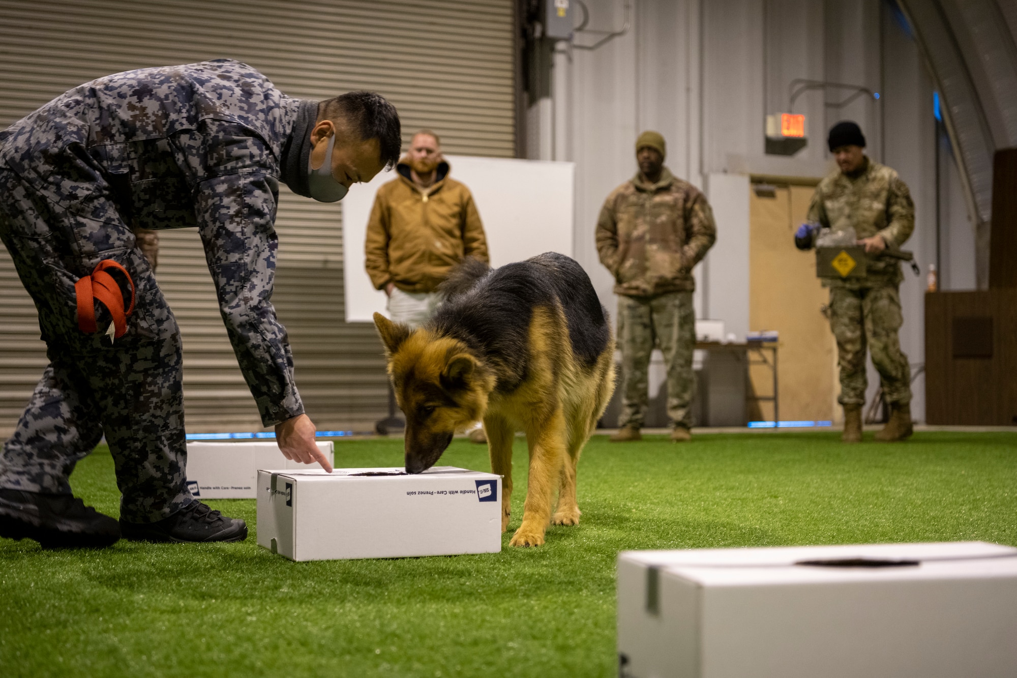 U.S. Air Force and Japan Air Self-Defense Force members work together during a bilateral training event at Misawa Air Base, Japan, Nov. 29, 2022. This multi-day training event allowed JASDF members a chance to see how U.S. Air Force military working dog handlers train their dogs. (U.S. Air Force photo by Senior Airman Antwain Hanks)