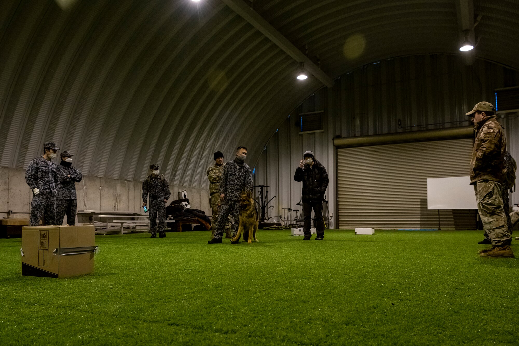 U.S. Air Force and Japan Air Self-Defense Force members work together during a bilateral training event at Misawa Air Base, Japan, Nov. 29, 2022. This multi-day training event allowed JASDF members a chance to see how U.S. Air Force military working dog handlers train their dogs. (U.S. Air Force photo by Senior Airman Antwain Hanks)