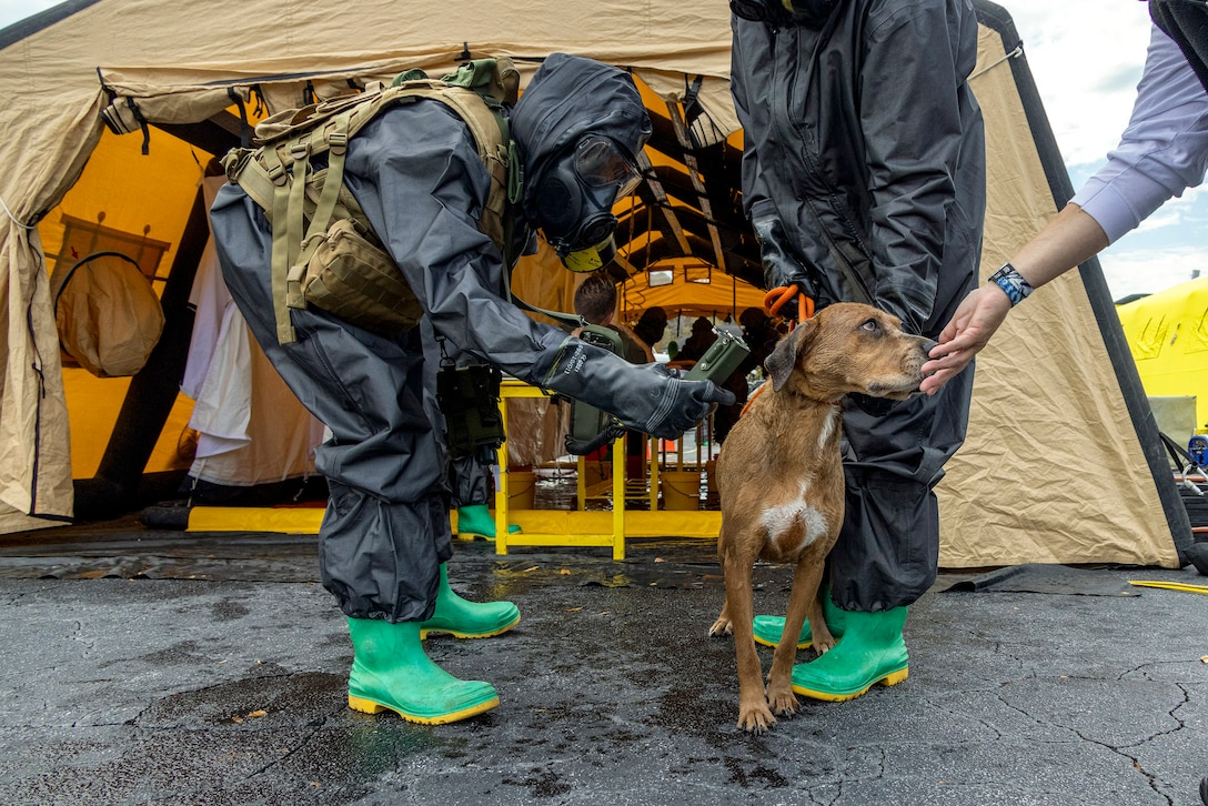 A Marine in full protective gear waves a hand-held device over a dog outside a tent.