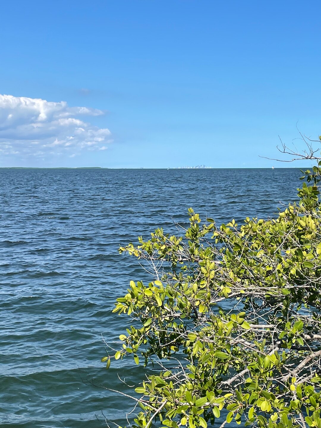 View of City of Miami from Biscayne National Park Visitor Center