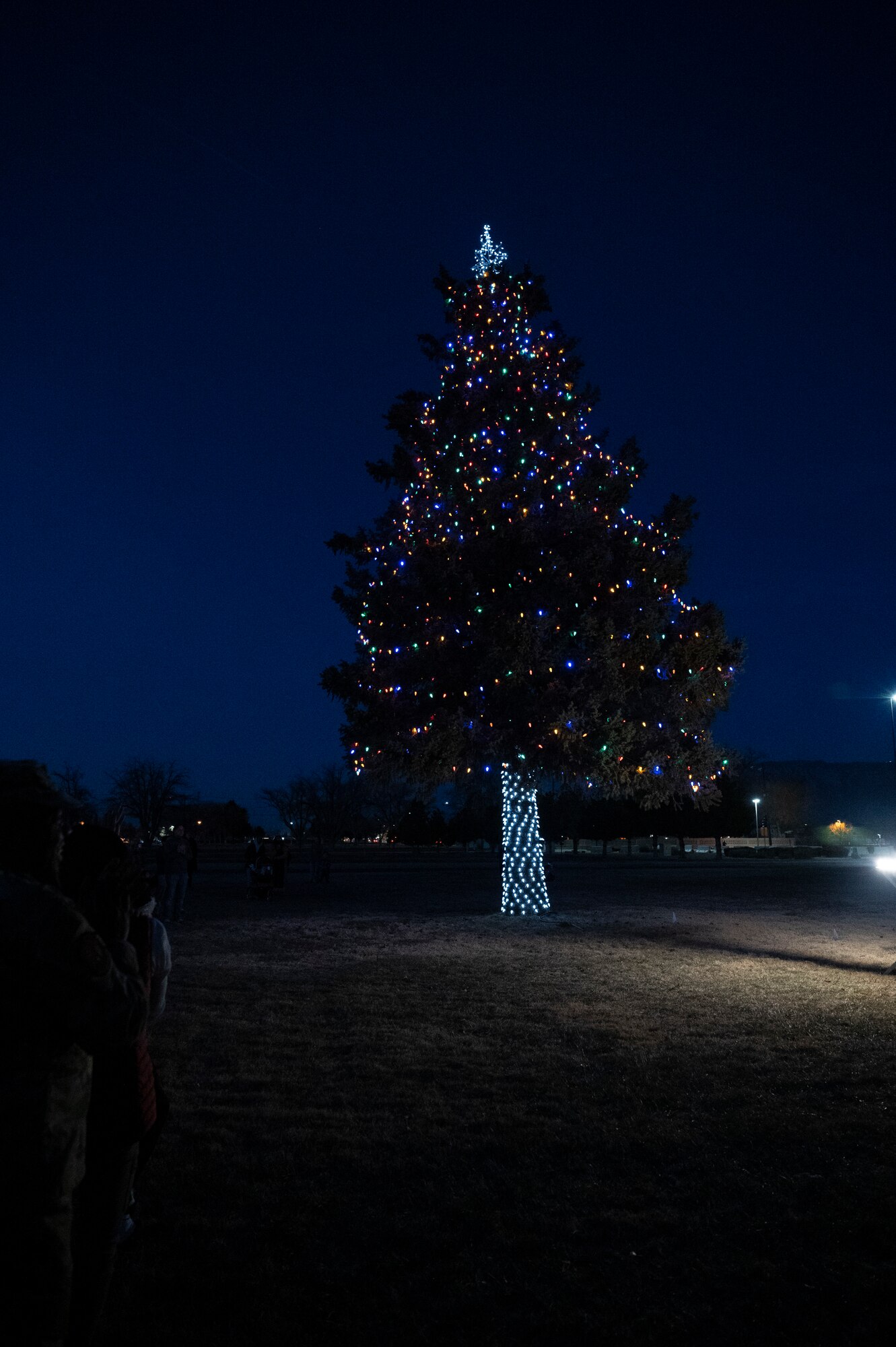 A christmas tree is lit.